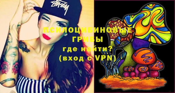 шишки Зеленодольск