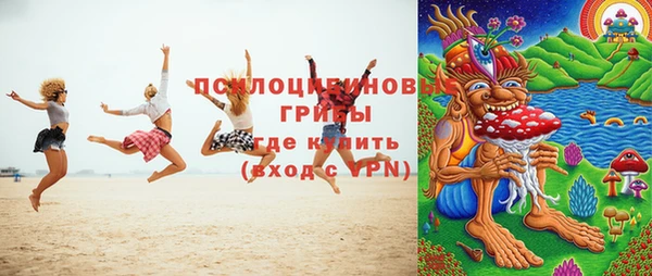 шишки Зеленодольск