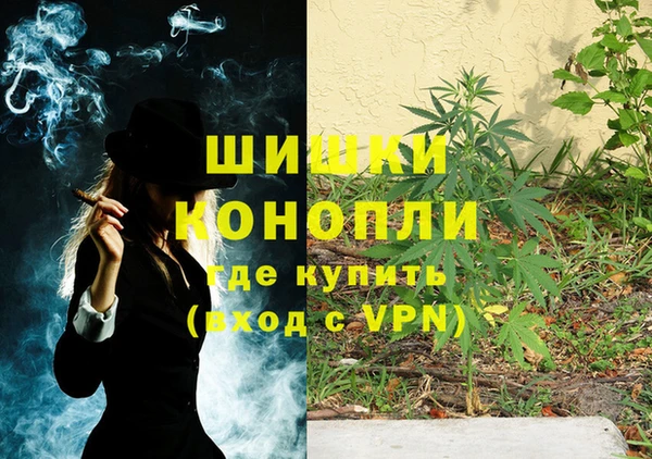 шишки Зеленодольск