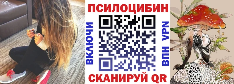 Купить где  Кадников  Галлюциногенные грибы прущие грибы 